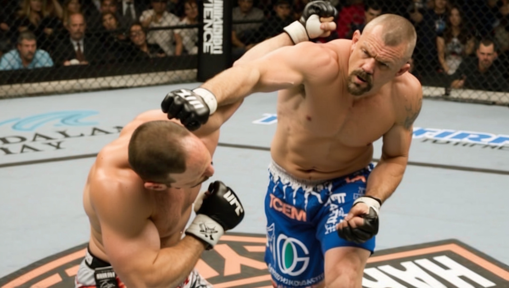 Chuck Liddell fighting it out